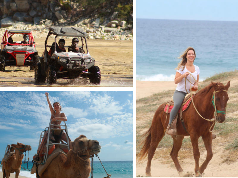 Los cabos combo tours